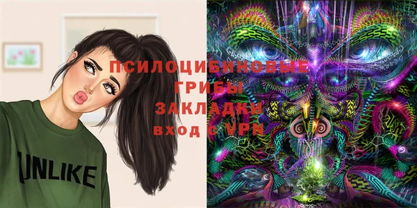 индика Балабаново