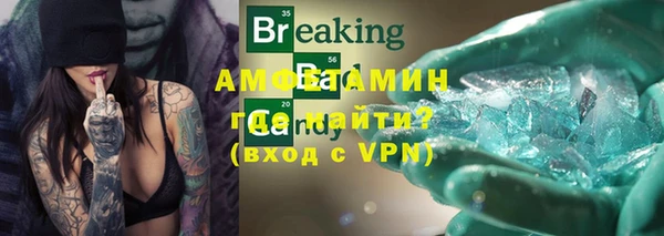 индика Балабаново