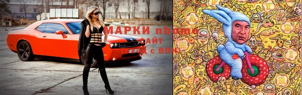 индика Балабаново